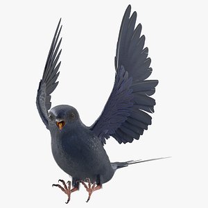 Purple Martin Bird Rigged 3D model