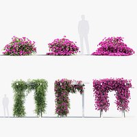 Bougainvillea Paper Flower 01