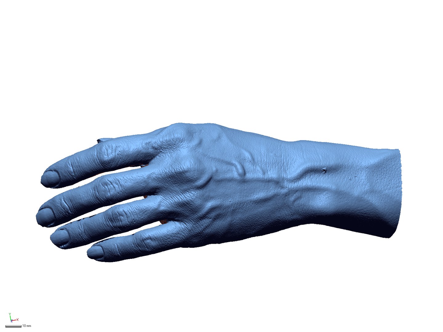 3D Body Parts - TurboSquid 1205143