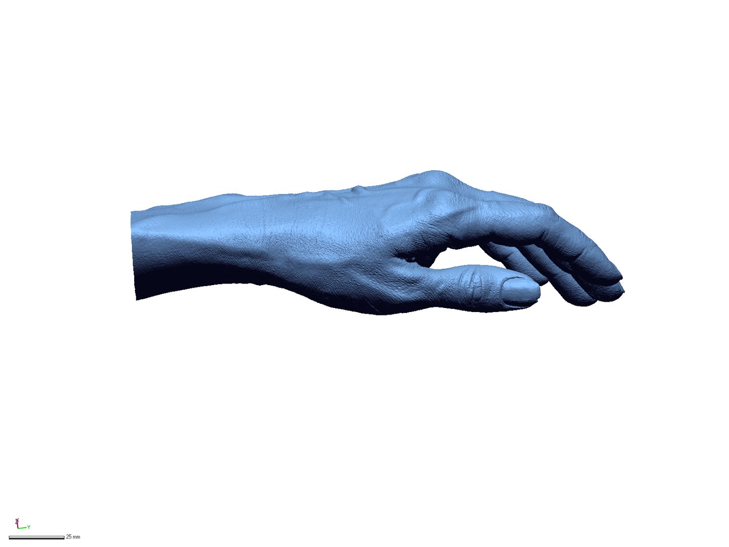 3D Body Parts - TurboSquid 1205143