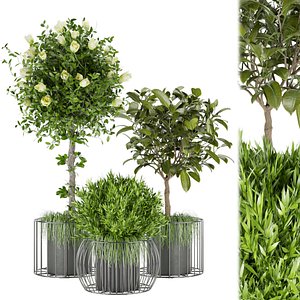 Collection plant vol 58 3D model