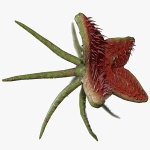 3D flying looking monster model