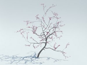 realistic sakura tree 3d model