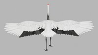Red Crowned Crane Bird Sculpture 3D Model - Standing Garden Statue Ornament for Landscape