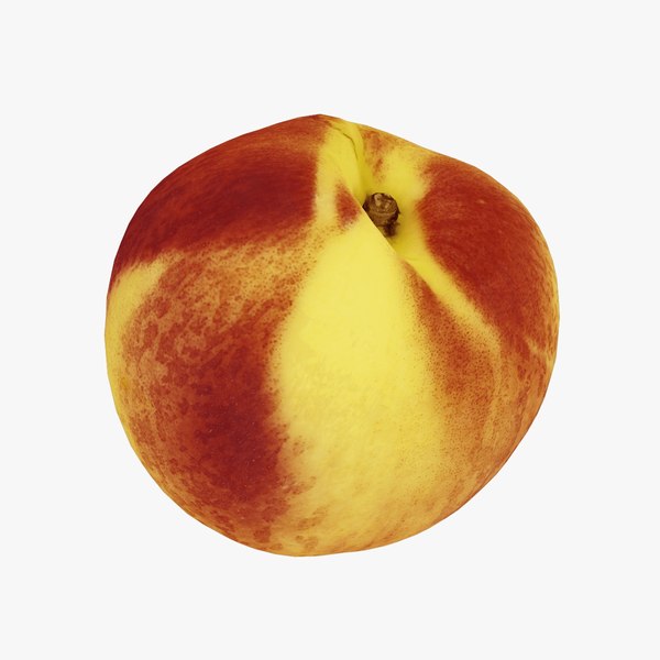 Nectarine - Real-Time 3D Scanned 3D model