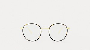 Bottega Veneta BV1017O Glasses