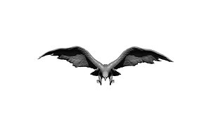 eagle hawk bird statue model