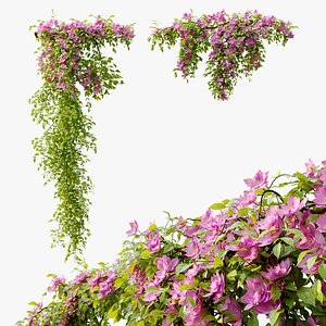 Hanging Plant 16