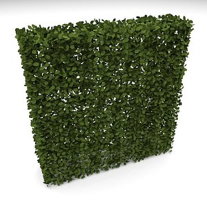 3D hedge