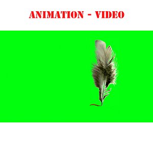 3d feather signature blood