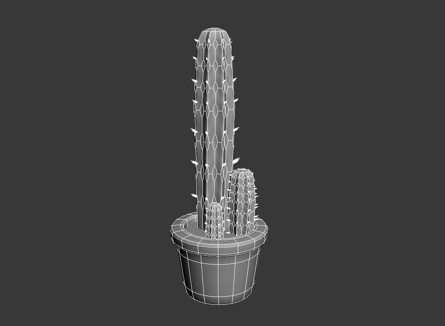 3d cactus pot https://p.turbosquid.com/ts-thumb/Pl/54f2oX/Xfoe2318/cactus_wire/png/1275752819/1920x1080/fit_q87/6955cae894606a36978b4d291cbb9e74bb060dd8/cactus_wire.jpg
