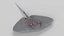 Stingray
