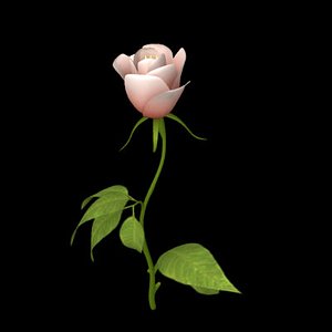 rose flower branch 3d model