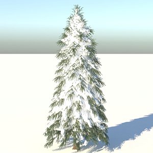 fraseri tree 3D model