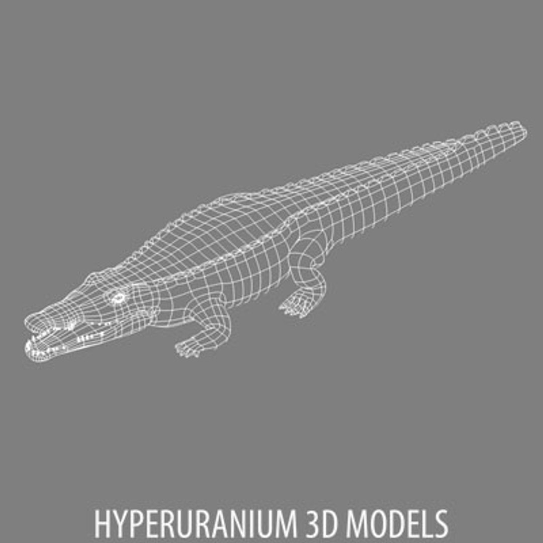 3d Crocodile Alligator Model