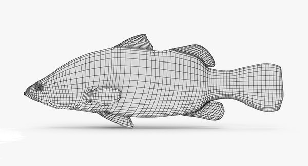 barramundi 3d max