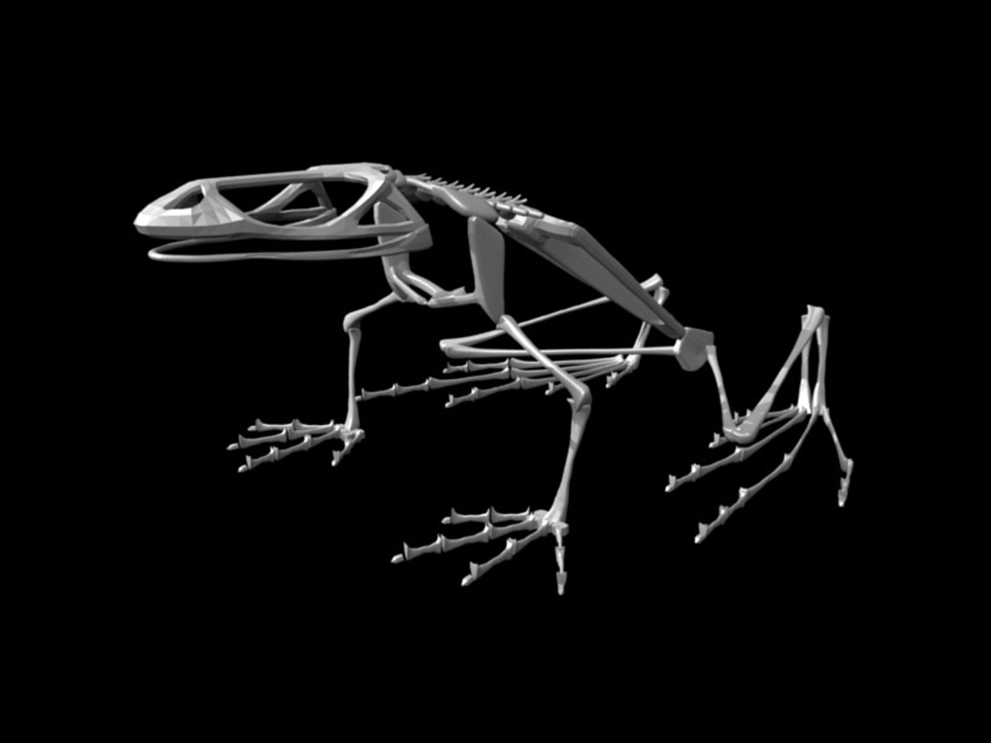 Frog Skeleton Blend