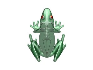 frog skeleton blend