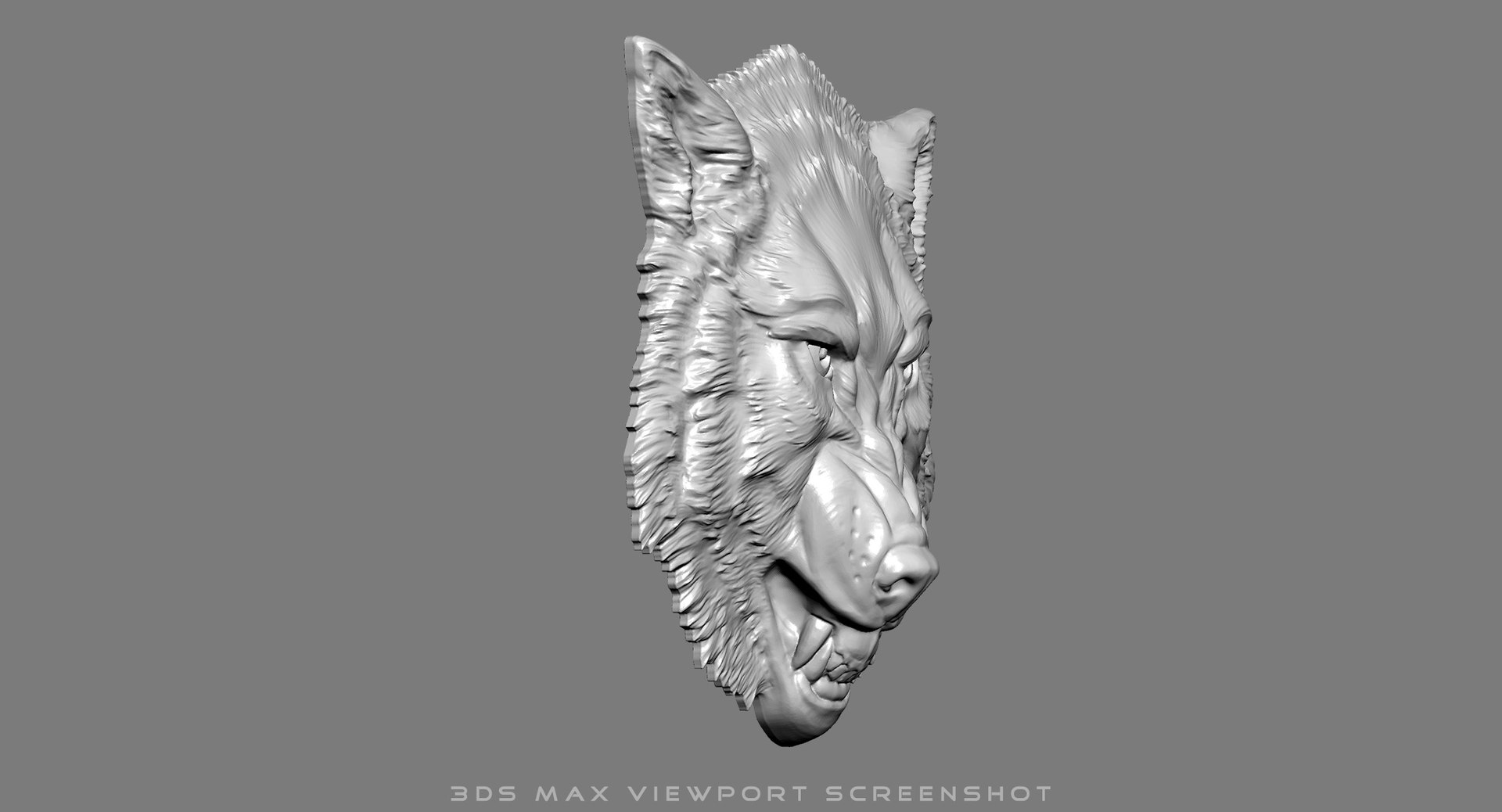 angry roaring wolf head 3d max https://p.turbosquid.com/ts-thumb/Pl/djjvIk/V5iN8gqF/3dangrywolfheadreliefmax02/jpg/1479410169/1920x1080/fit_q87/4cabfeaad32abef0993eb5ee137a070314f08c0c/3dangrywolfheadreliefmax02.jpg