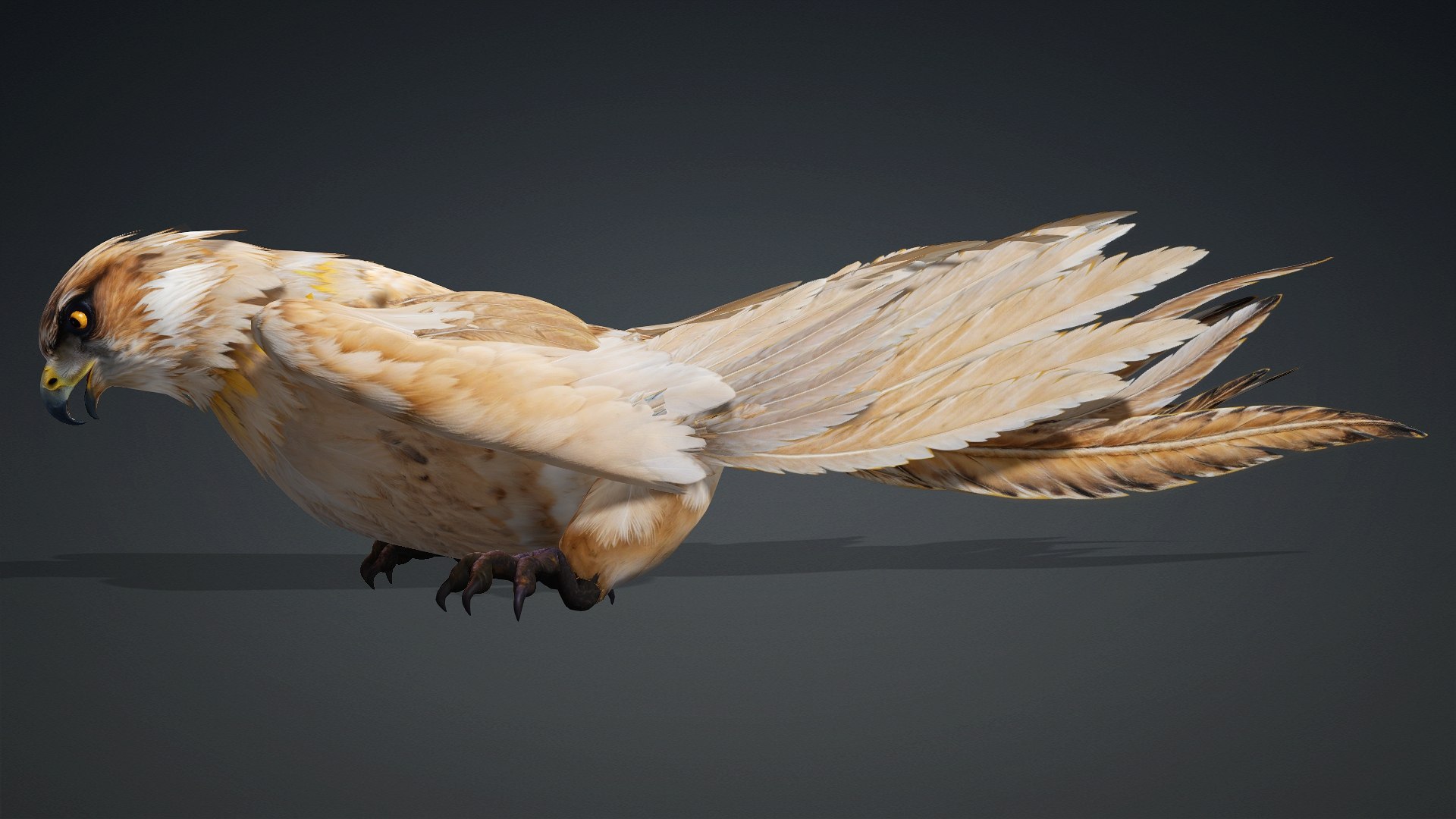 3D Hawk-A5 https://p.turbosquid.com/ts-thumb/Pl/tWOXn3/2P/preview11/jpg/1765854738/1920x1080/fit_q87/1dcae8285075f590c9c68ea3627d6e865d12cded/preview11.jpg