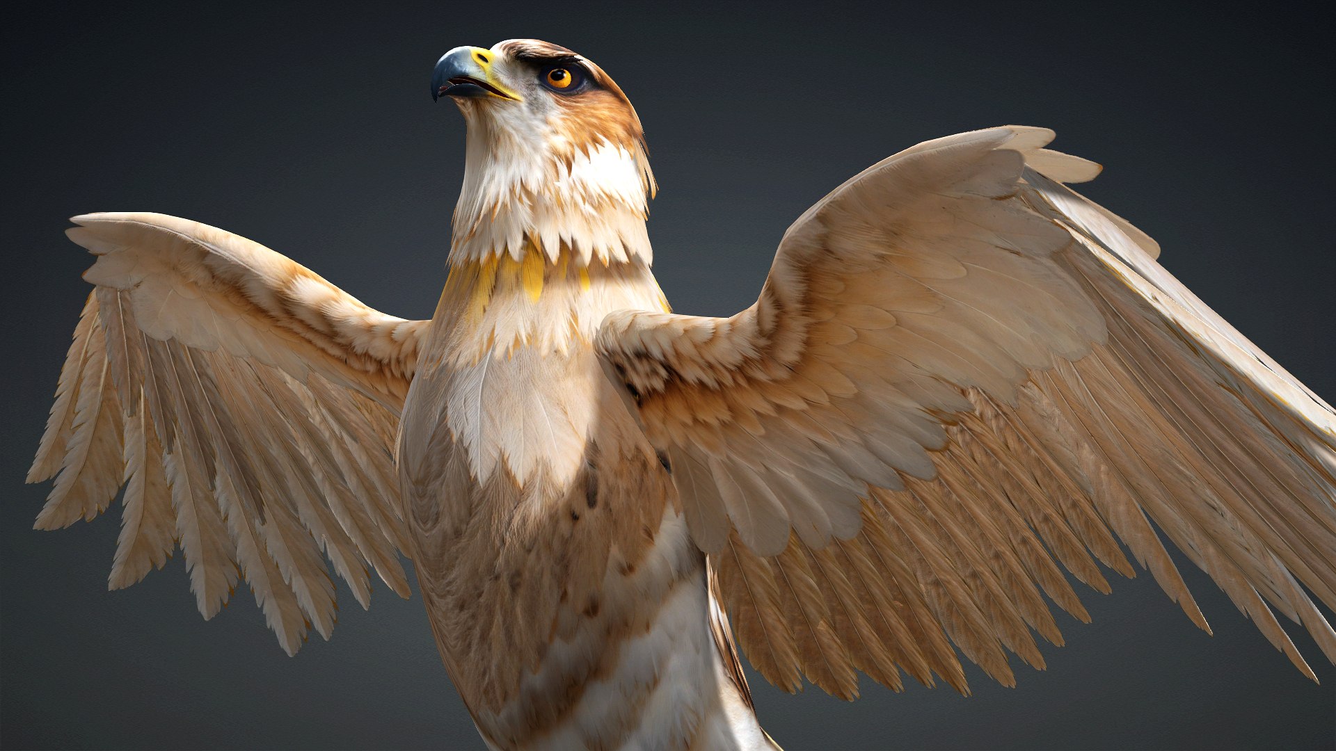 3D Hawk-A5 https://p.turbosquid.com/ts-thumb/Pl/tWOXn3/K6/preview2/jpg/1765854731/1920x1080/fit_q87/748a05a9432b760d556c38274f74983b82ae7b3a/preview2.jpg