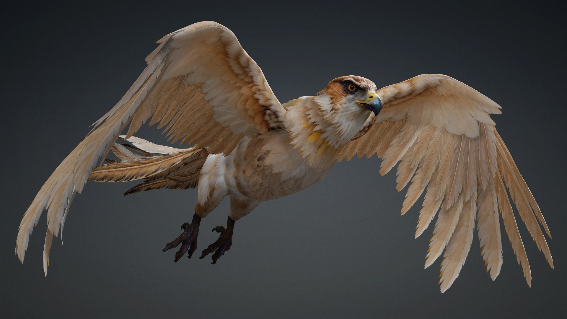 3D Hawk-A5 https://p.turbosquid.com/ts-thumb/Pl/tWOXn3/SX/preview5/jpg/1765854732/1920x1080/fit_q87/e2d8ef8967f9ccbde4a5e03f284ffd3f424266fa/preview5.jpg