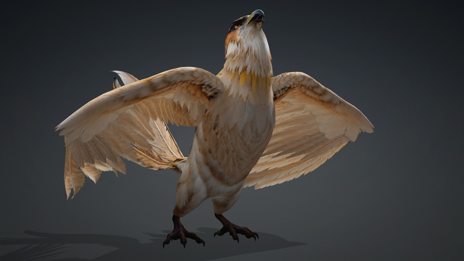 3D Hawk-A5 https://p.turbosquid.com/ts-thumb/Pl/tWOXn3/Y4/preview13/jpg/1765854740/1920x1080/fit_q87/5d9667392c2245e67db596d053185dbcf710b70e/preview13.jpg