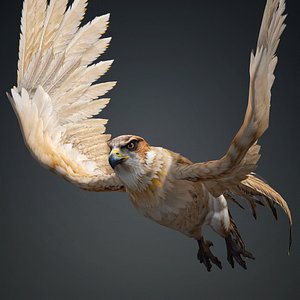 3D Hawk-A5