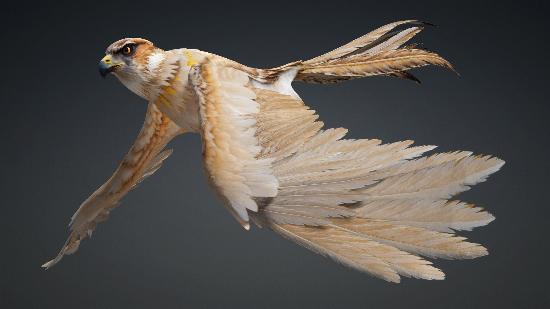 3D Hawk-A5 https://p.turbosquid.com/ts-thumb/Pl/tWOXn3/bz/preview3/jpg/1765854731/1920x1080/fit_q87/802cce11adf765d4e3ab1b341d1c4af9b135d22b/preview3.jpg