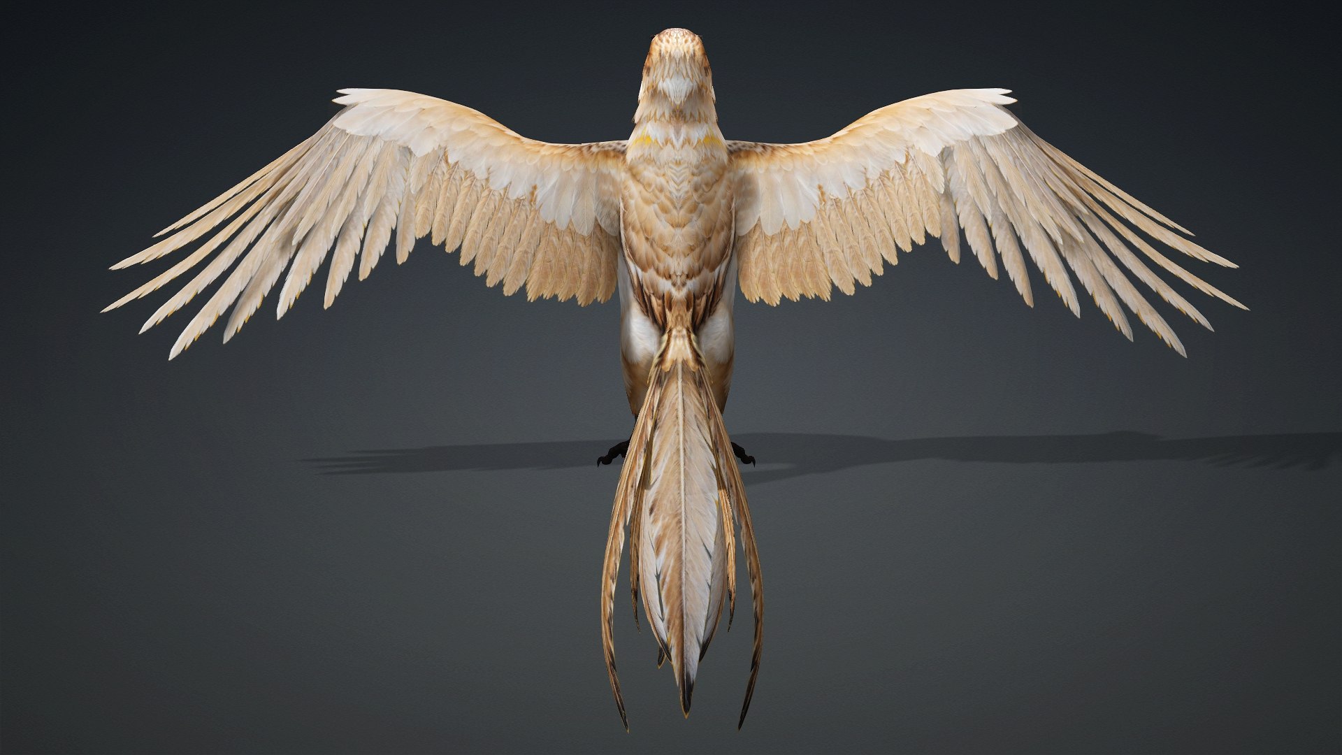 3D Hawk-A5 https://p.turbosquid.com/ts-thumb/Pl/tWOXn3/dP/preview1/jpg/1765854730/1920x1080/fit_q87/d2c1c9e4b2e9b2fe5e9639a0127c10f809f7e335/preview1.jpg