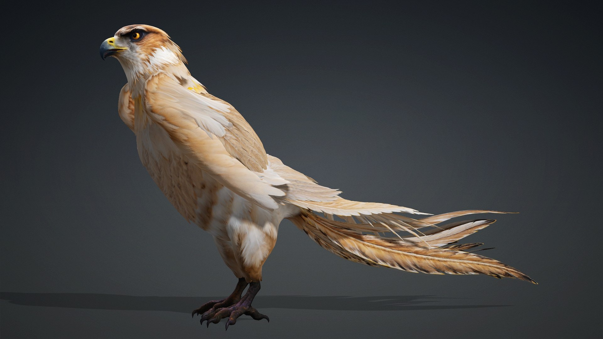 3D Hawk-A5 https://p.turbosquid.com/ts-thumb/Pl/tWOXn3/hE/preview7/jpg/1765854733/1920x1080/fit_q87/79c580365604d76f8415794a39257a515af2e277/preview7.jpg