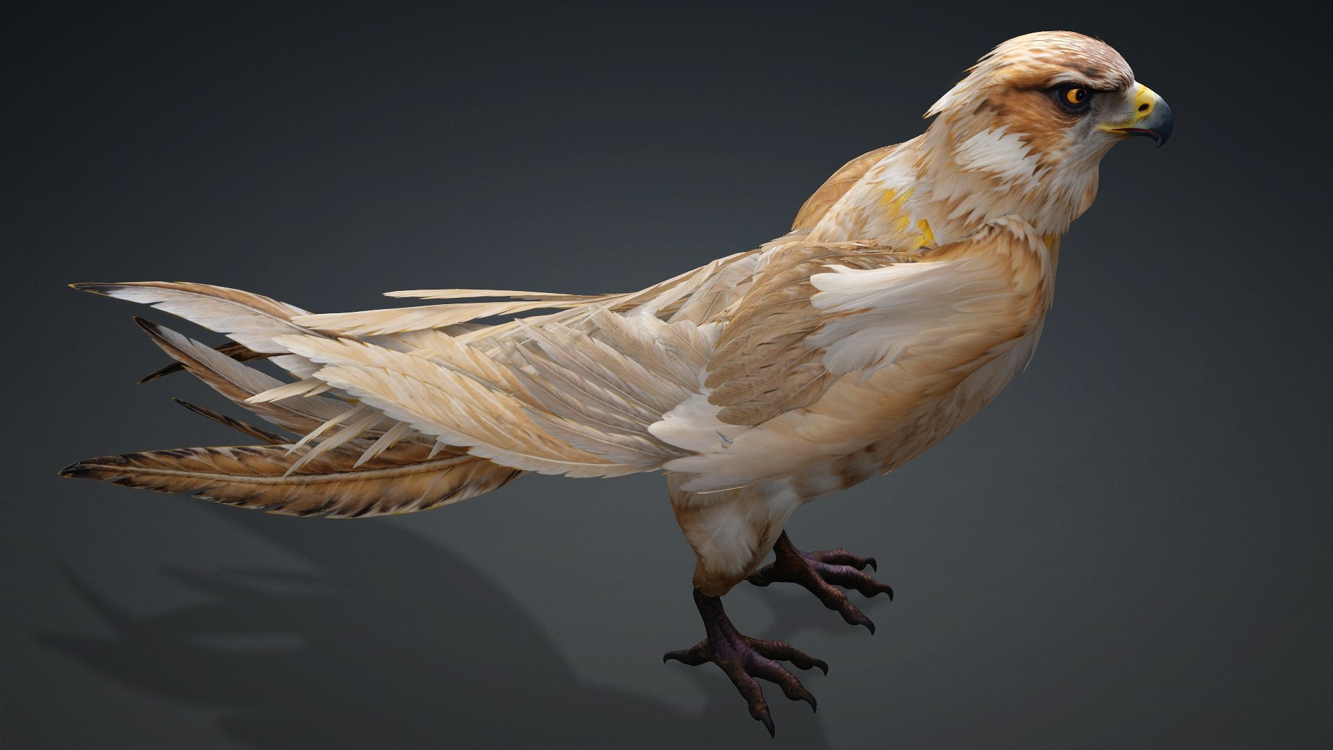 3D Hawk-A5 https://p.turbosquid.com/ts-thumb/Pl/tWOXn3/ku/preview8/jpg/1765854735/1920x1080/fit_q87/d821b4aa77a6c1a96aefb3ba71e4860bd0fb1cc0/preview8.jpg