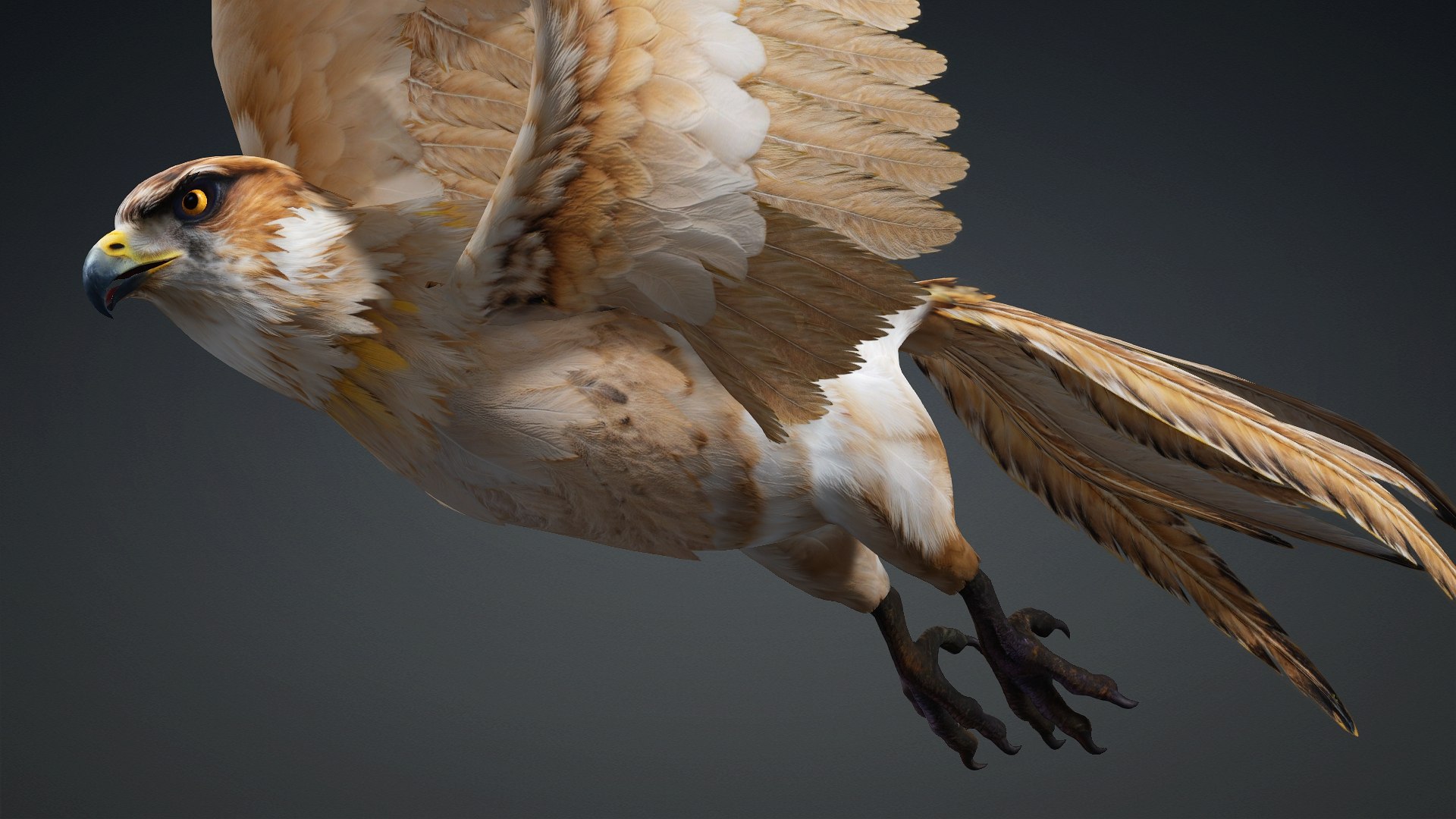 3D Hawk-A5 https://p.turbosquid.com/ts-thumb/Pl/tWOXn3/nL/preview6/jpg/1765854735/1920x1080/fit_q87/3389f7bffb91f5f3175a6d336dd54cb4fe4a2008/preview6.jpg