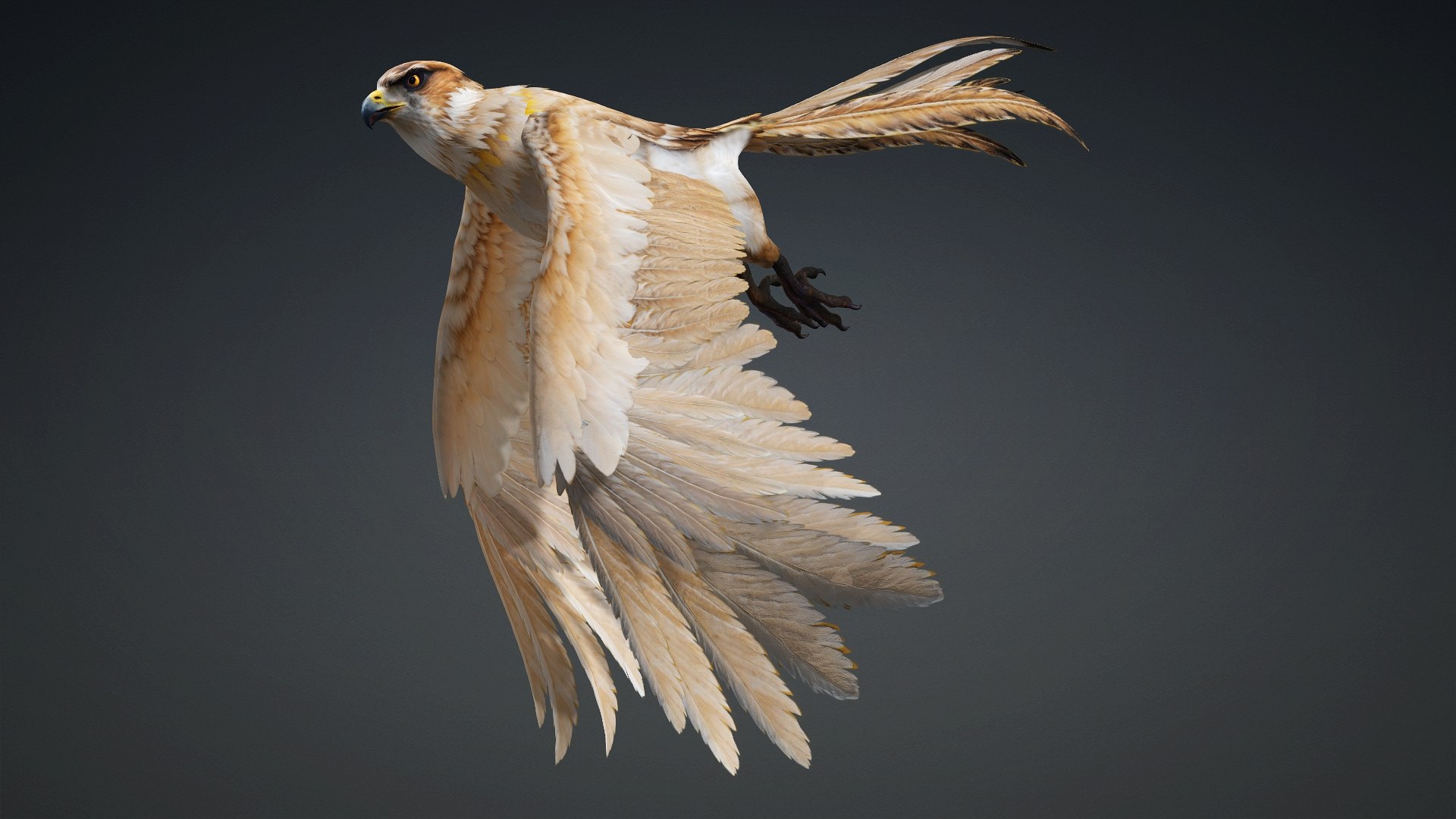 3D Hawk-A5 https://p.turbosquid.com/ts-thumb/Pl/tWOXn3/ne/preview4/jpg/1765854732/1920x1080/fit_q87/96d08405878136a0e663ce0f227dc09e9385b765/preview4.jpg