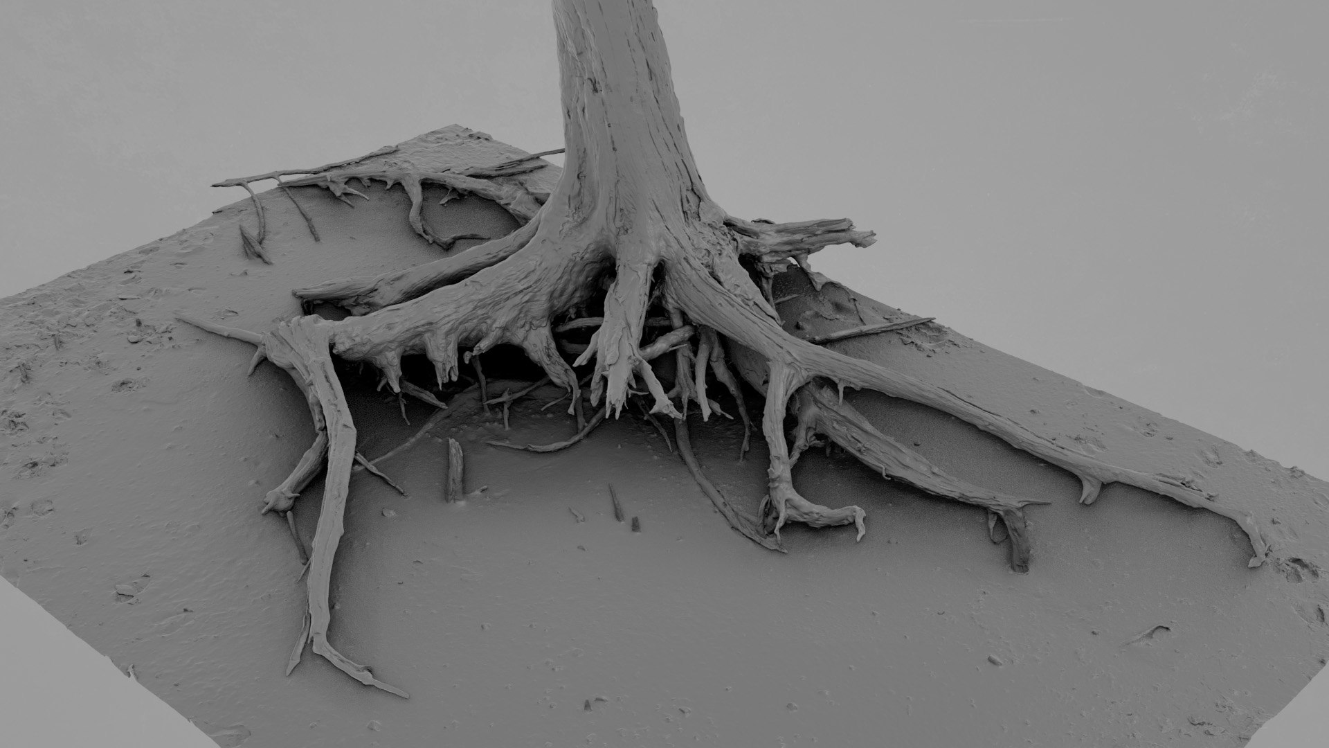 3D Dead Tree 023 Model - TurboSquid 2371324