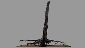 Dead Tree 023
