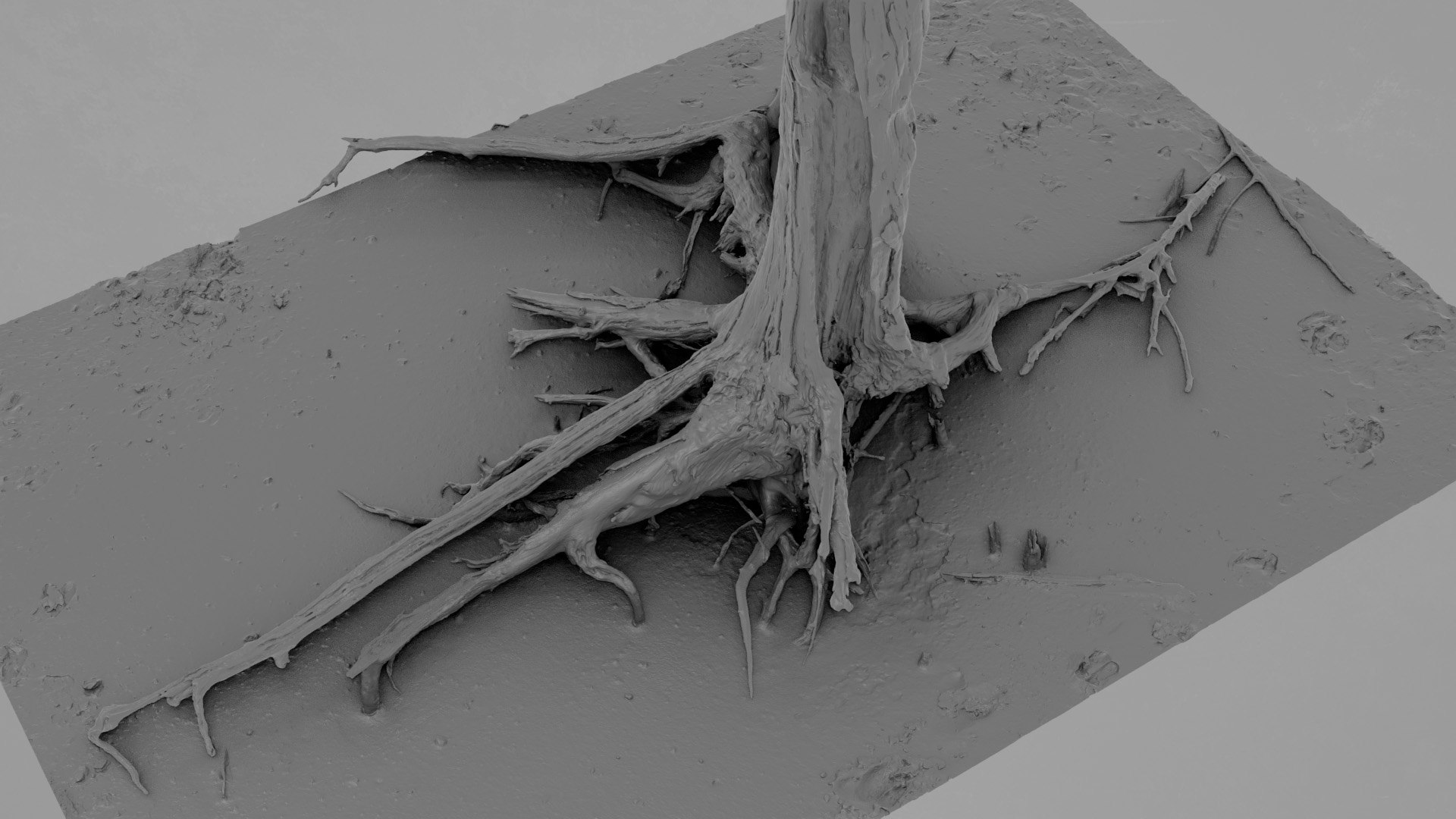 3D Dead Tree 023 Model - TurboSquid 2371324