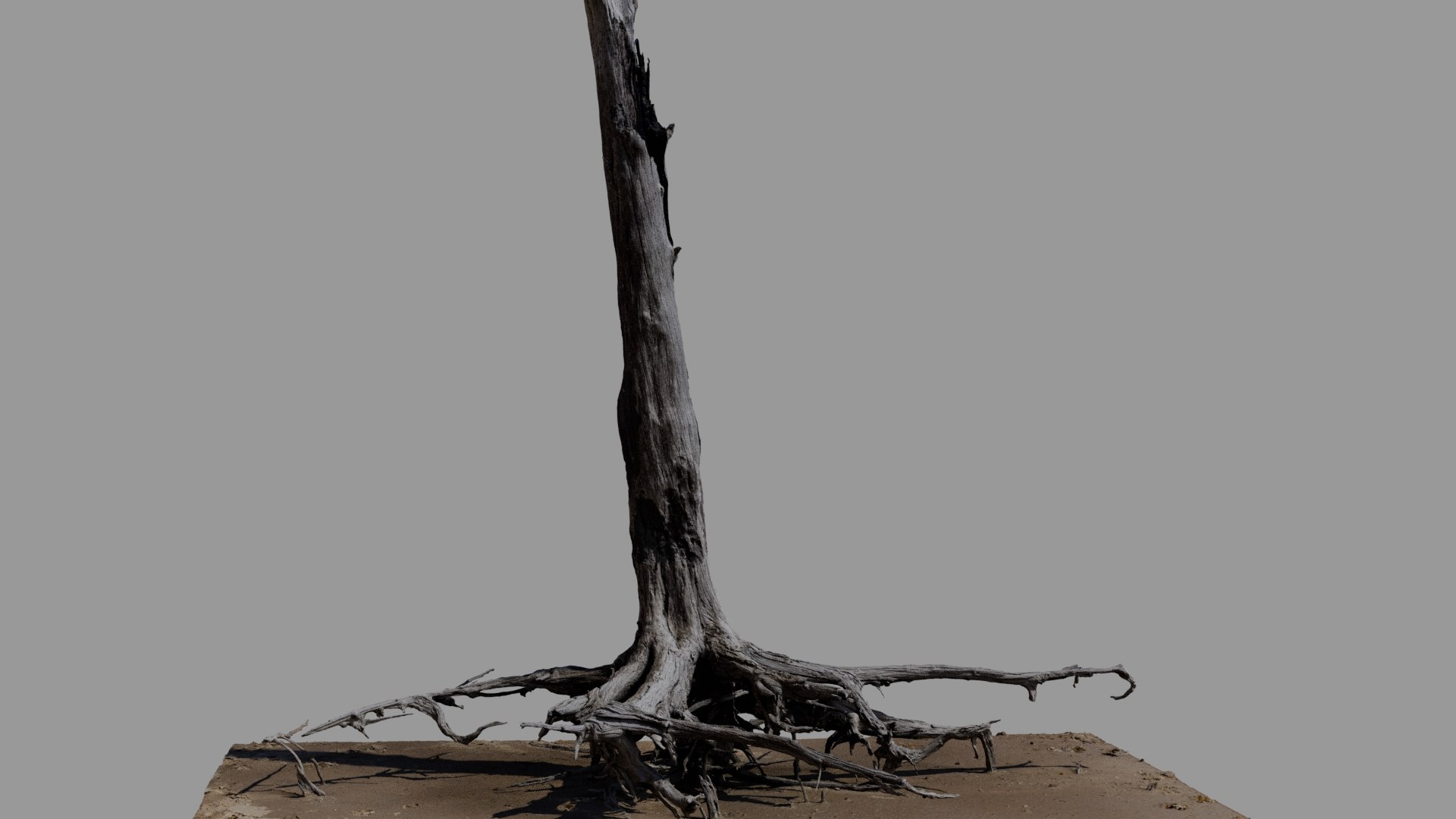 3D Dead Tree 023 Model - TurboSquid 2371324