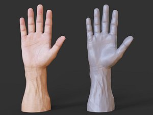 3D model Male Hand Pose 01
