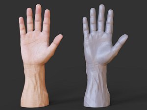 Male Hand Pose 01