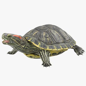 3ds max pond slider turtle