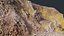 Basalt Mountain Slope - 3D PBR Model
