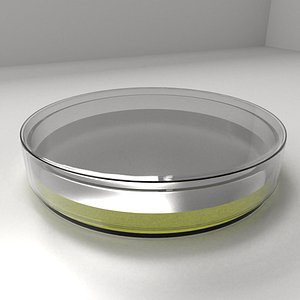 3D model glass petri dish agar