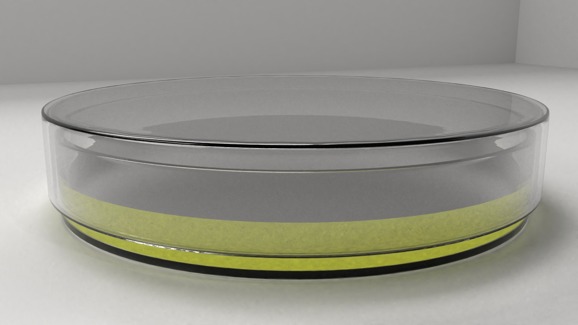 3D model glass petri dish agar https://p.turbosquid.com/ts-thumb/Pm/9Vn9uq/fIu23hWp/2/png/1589453937/1920x1080/fit_q87/1f8d05f6f207124761daee24a136521e2e638912/2.jpg