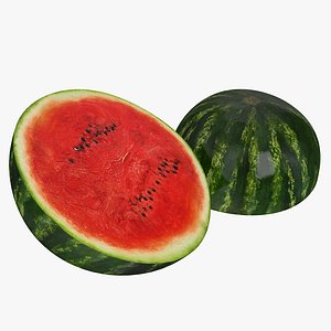 3d watermelon cross section model