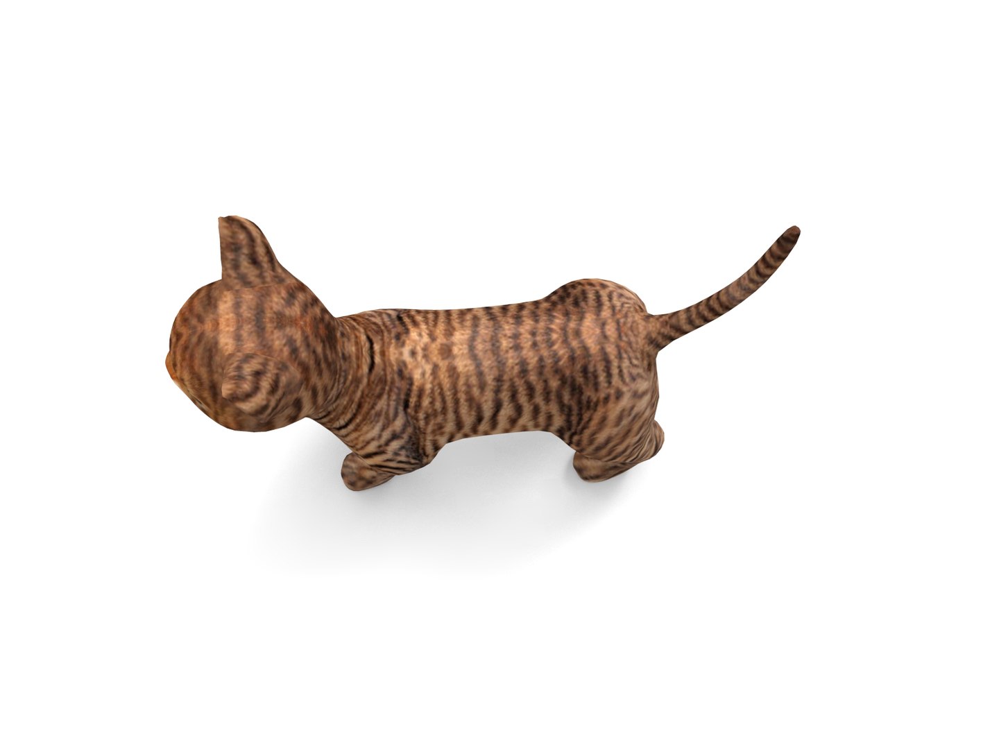 3D cute cat https://p.turbosquid.com/ts-thumb/Pm/Yzqmwq/7vaUfJlh/cat01.18/jpg/1503137978/1920x1080/fit_q87/c79038c8c4803f98ec99501260efde4723fafefa/cat01.18.jpg