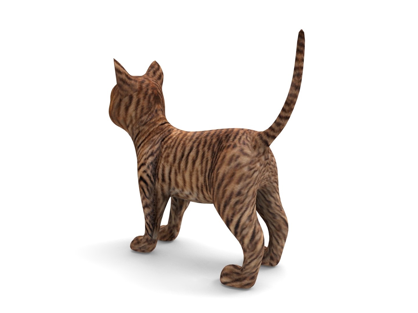3D cute cat https://p.turbosquid.com/ts-thumb/Pm/Yzqmwq/B91RXCxp/cat01.17/jpg/1503137978/1920x1080/fit_q87/f420708b59f5e6140f09ca11f13798565f1c8ae3/cat01.17.jpg