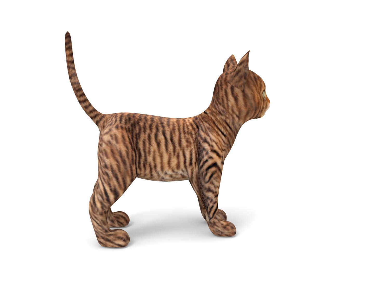 3D cute cat https://p.turbosquid.com/ts-thumb/Pm/Yzqmwq/HWWvNM2S/cat01.15/jpg/1503137978/1920x1080/fit_q87/774b1ec5a767ac77a5290da43208f228929560ab/cat01.15.jpg