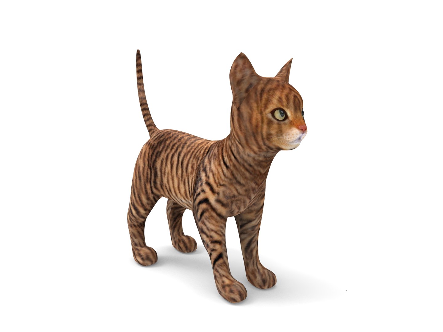 3D cute cat https://p.turbosquid.com/ts-thumb/Pm/Yzqmwq/gEqsgWx6/cat01.14/jpg/1503137978/1920x1080/fit_q87/939f93366c9b3107d8e4d9a7cba9ca00b0bcfa95/cat01.14.jpg