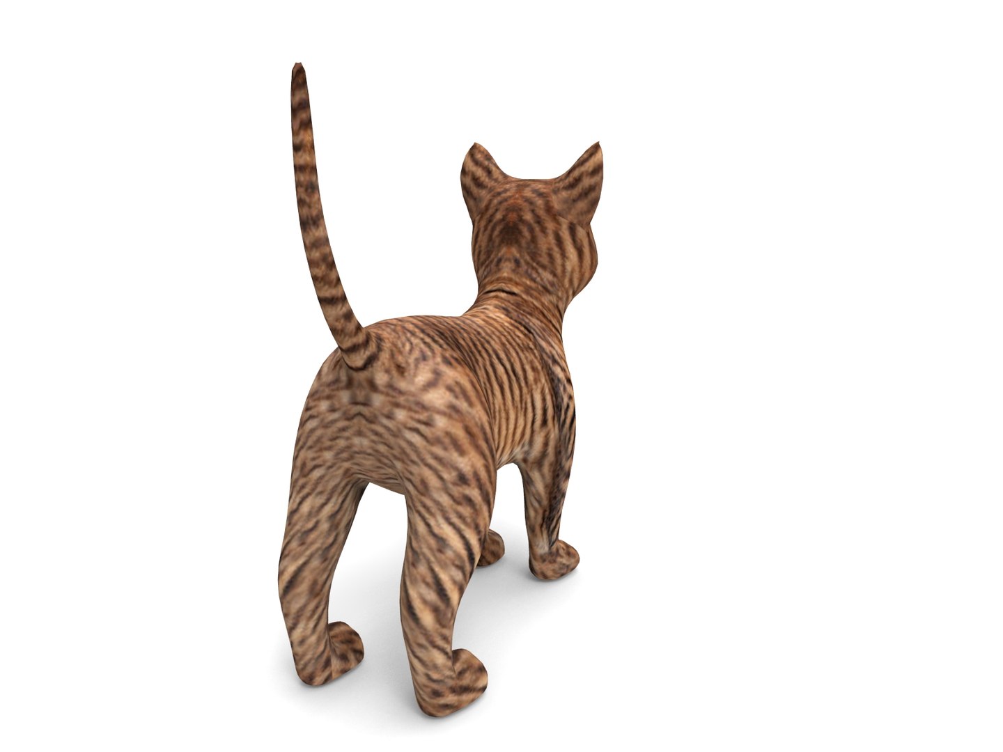 3D cute cat https://p.turbosquid.com/ts-thumb/Pm/Yzqmwq/xi9uIpXJ/cat01.16/jpg/1503137978/1920x1080/fit_q87/27b31aff320119ae50dcaf27785ff1caad894c37/cat01.16.jpg